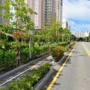 영성동로18번길 이미지