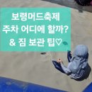 신흥여객 | 보령머드축제 주차장 네이버맵 핀, 물품보관소-라커 이용 후기(짐보관 팁)