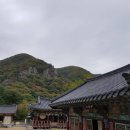 장안사손칼국수 이미지