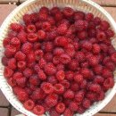 다린어린이집 이미지