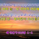 하늘보라 이미지