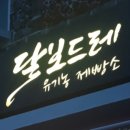 달보드레24 이미지