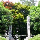 관어공원(호국사) 이미지