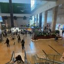 김해건기 | 부산 김해공항-나트랑 깜란공항 패스트트랙, 공항 베나자 라운지, 나트랑 도깨비 픽업 차량 솔직후기