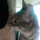 호텔코코 이미지