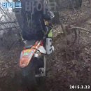 와일드라이더스