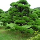 백양농장 이미지