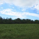 해림목장 이미지