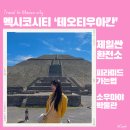 멕시코 시티 테오티우아칸 탐방과 멕시코시티 시내 완전 싼 환전소 발견