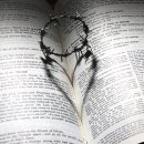 성경상사 이미지