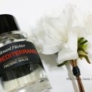 리메디온 이미지