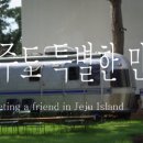 하도기록 이미지