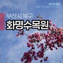화명꿈 | 봄나들이 추천! 부산 북구 화명수목원 4월 개화 현황