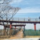 보름달작은도서관 | 낮에 가도 좋고, 야경도 궁금한 요즘 핫한 수봉공원 스카이워크 인천 나들이장소 추천