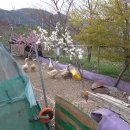 삼겹파티 이미지