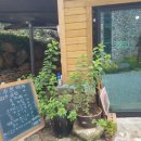 알프스모텔 이미지