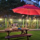 대박놀개 이미지