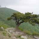 오월에 찾은 (무등산)... 이미지