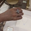 미모사 | 명품 반지 다미아니 미모사 주얼리 팔찌 착샷 후기, 가격 얼마?