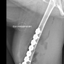 인천 24시 스카이동물메디컬센터 이미지