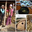 청태산휴양림 이미지