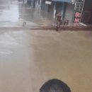 중국의 폭우 근황 이미지