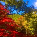 마운틴87 이미지