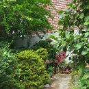 회원동314 이미지