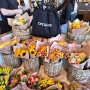 [LA] 에러혼(Erewhon)의 기묘한 역사와 '자본의 맛' 스무디 솔직 후기