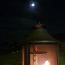 스케치 ing 이미지