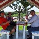 섬 맨드라미 축제 이미지