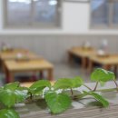 기장밀면 이미지