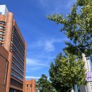 삼보당약국 | 8월의 마지막 날