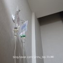 연세남부내과의원 네이버블로그