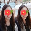 연세윌치과의원 이미지