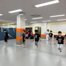 태양태권도장 이미지