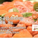 후레쉬 팩토리 이미지