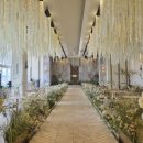 지하철 방촌역 | 대구 엠스타 하우스 웨딩홀 3개 홀 비교 후 계약한 후기 (+2027년 상반기 견적 공유)