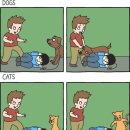 개와고양이 이미지