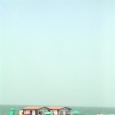 다도해식품 Daum카페