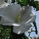 나루터곰탕 이미지