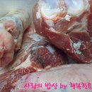 별미나라 이미지