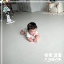 베스트원 가구거리점 | 내돈내산 시공매트 후기 : 예쁘고 소재좋은 봄봄매트(견적/설치팁/가구받침추천)