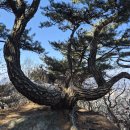 사자산달바위집 | 북한산 상원봉 남장대능선