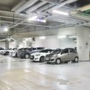 꽃단장하개 이미지