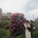 틈플라워