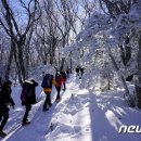 겨울철 한라산 산행 오전 6시부터 가능…동절기 탐방시간 조정 이미지