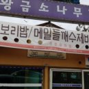 황금소나무집 이미지