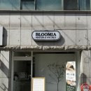 힐링 스파 | 청주 브루미아 헤드스파 내돈내산 재방문 시그니처 힐링 스파 리얼 후기