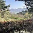 지리산정원 유아숲체험원 이미지